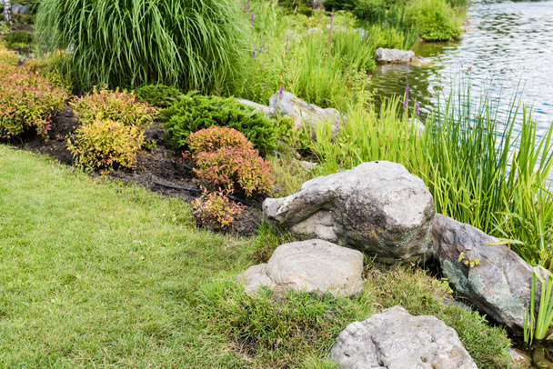 pierres sur l'herbe verte près de l'étang et les plantes dans le parc
  - Photo, image