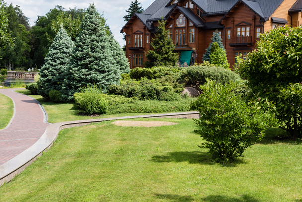πράσινα δέντρα και πεύκα κοντά στο σπίτι και διάδρομο το καλοκαίρι  - Φωτογραφία, εικόνα