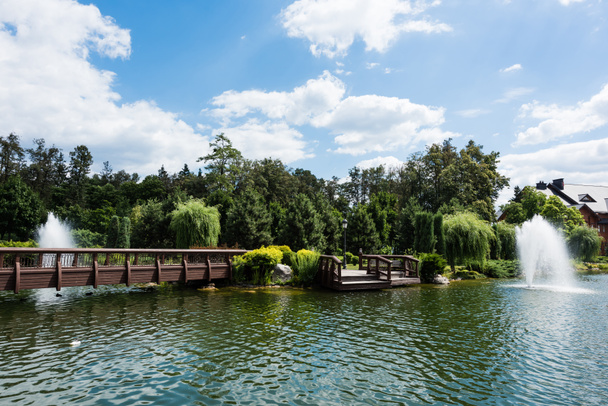 fountains in lake near green trees and bridge in park  - 写真・画像
