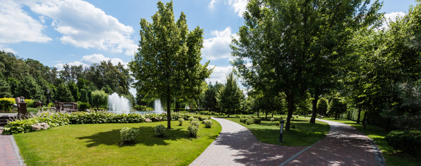 plan panoramique d'arbres verts sur l'herbe près des fontaines
 - Photo, image