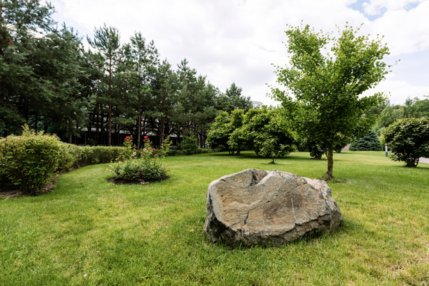 enorme piedra sobre hierba verde y fresca cerca de los árboles en el parque
  - Foto, Imagen