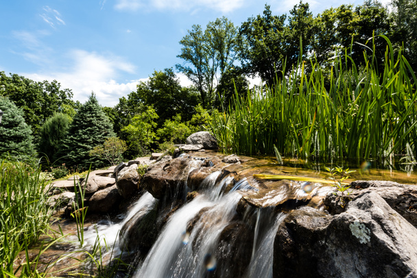 kosteisiin kiviin virtaava vesi puiston vihreiden puiden läheisyydessä
  - Valokuva, kuva