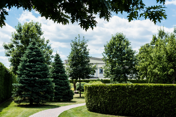 pinos verdes y arbustos en la hierba cerca de la pasarela y el edificio blanco en el parque
  - Foto, Imagen
