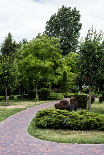 loopbrug in de buurt van groene en rode struiken in de buurt van bomen op gras  - Foto, afbeelding