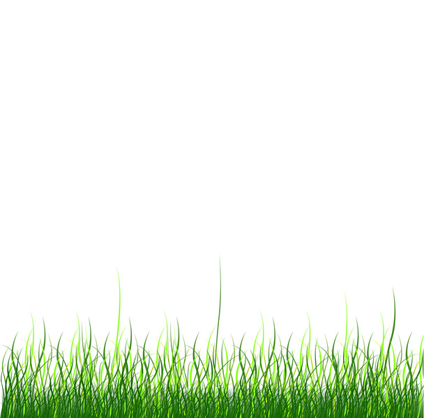 Hierba verde - Vector, imagen
