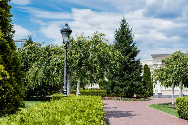 selective focus of street lamp near bushes and green trees in park  - Photo, Image
