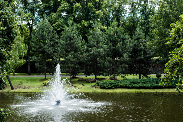 zelené stromy s čerstvými listy poblíž fontány v rybníku  - Fotografie, Obrázek