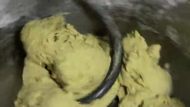 Processo de amassamento de massa de máquina para pão orgânico não-OGM sem enchimentos e conservantes
. - Filmagem, Vídeo