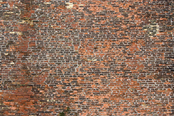 Old rugged brick wall - Photo, Image
