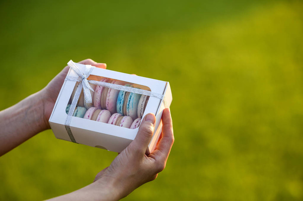 Mains féminines tenant boîte cadeau en carton avec bleu rose coloré
  - Photo, image