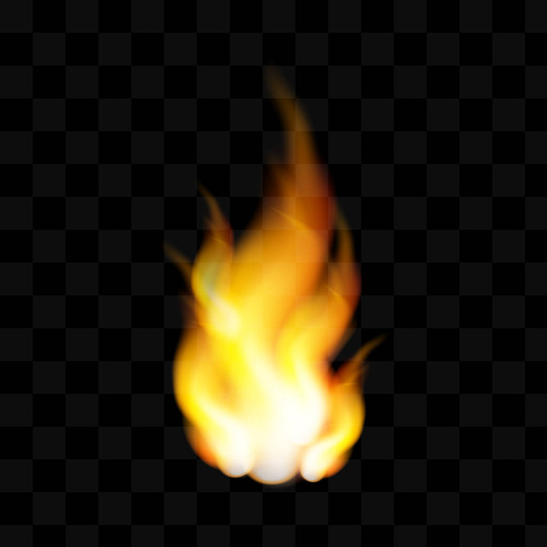 Realistische vuurvlam - Vector, afbeelding