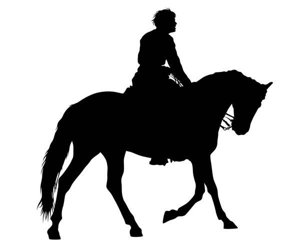 Cavaleiro monta um cavalo em um fundo branco
 - Vetor, Imagem