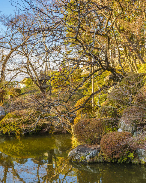 Garden at Kiyomizudera Temple, Kyoto, Japan - Fotoğraf, Görsel
