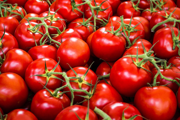 wiele surowych pomidorów, tło pomidorowe - Zdjęcie, obraz