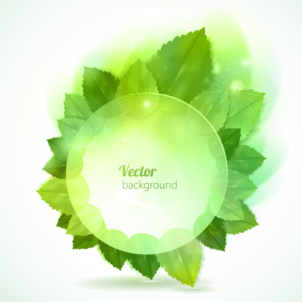 Vector natural background. Round frame with sunshiny leaves. - Vecteur, image