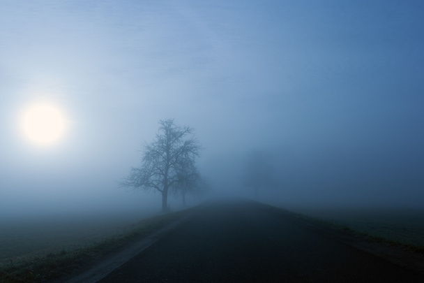 Foggy manhã de inverno
 - Foto, Imagem