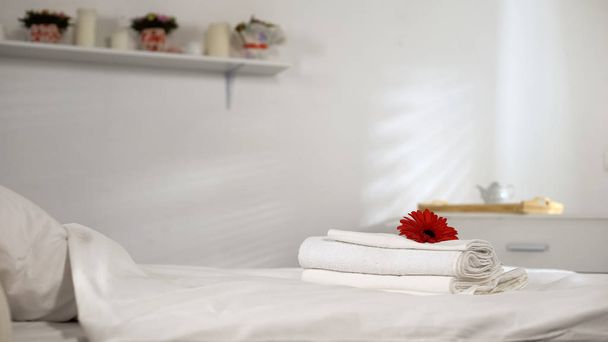 Flower lying on clean towels on bed, comfortable hotel room, washing powder - Foto, imagen