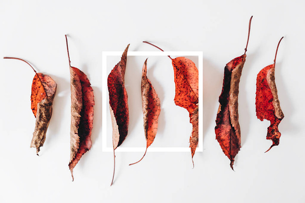 Autumn composition. Dried leaves and white frame on pastel gray background. Autumn and thanksgiving day concept. Flat lay, top view, copy space - Фото, изображение