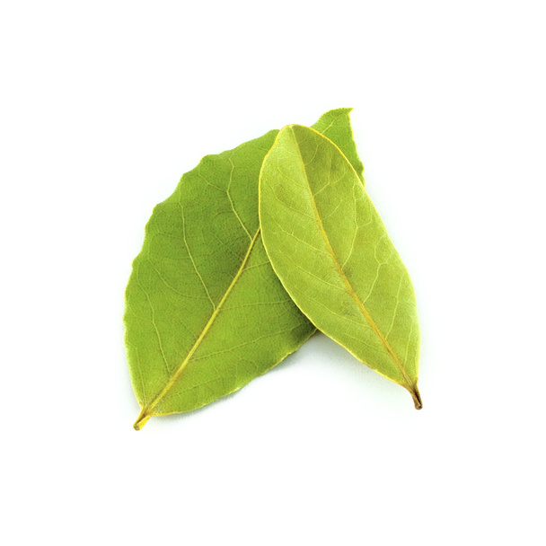 Laurel leaves - Photo, Image