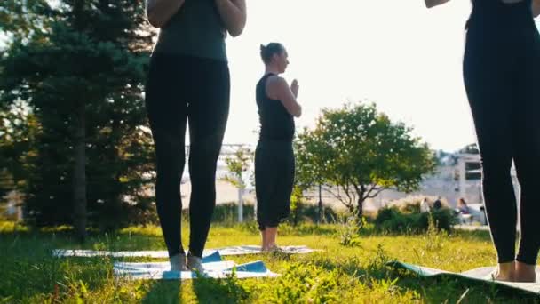 Две молодые женщины занимаются фитнесом в парке со своим инструктором - стоят на открытом воздухе на ковриках для йоги
 - Кадры, видео