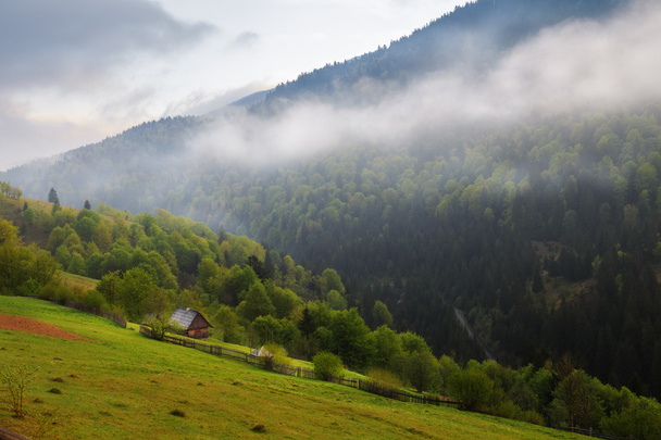 Spring landscape in the Carpathian mountains - Foto, Imagen