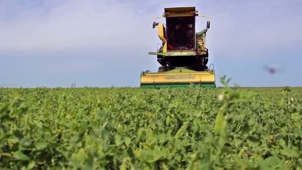 Peas harvester - Footage, Video