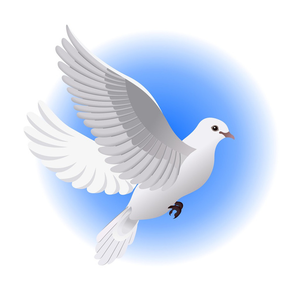 Beautiful dove - Vector, Image