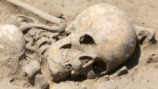 An early neolithic skeleton beleived to be of more than 7 600 years is seen found in the Slatina district of Sofia, Bulgaria. Zoom out. - Séquence, vidéo