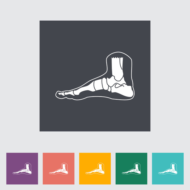 Foot anatomy flat icon. - Vector, imagen