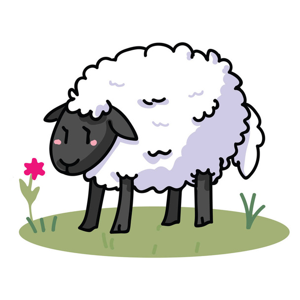 Cute sheep cartoon vector illustration motif set. Hand draawn isolated agriculture livestock elements clipart for farming blog, wooly graphic, mutton web buttons. - Вектор, зображення
