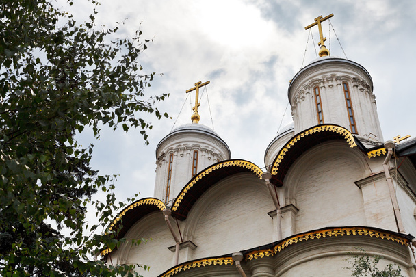 Church of the Twelve Apostles in Moscow - Zdjęcie, obraz