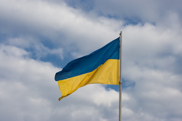 Ukrajinská vlajka - Fotografie, Obrázek