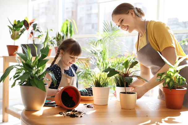 Mother and daughter taking care of home plants at table indoors - Fotoğraf, Görsel