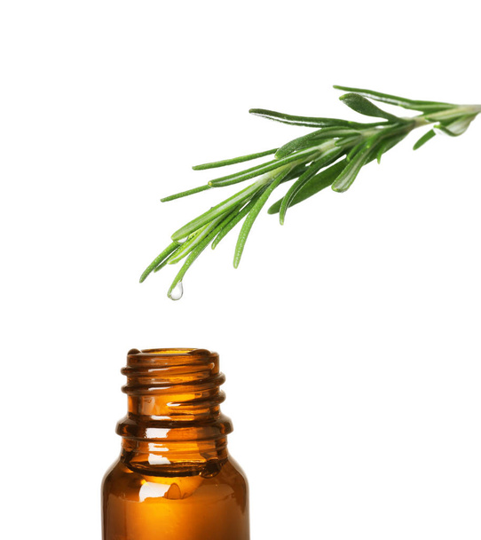 Rosemary branch with drop of essential oil over bottle against white background - Foto, imagen