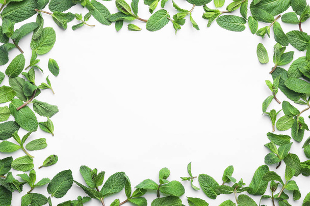 Frame made of fresh green mint leaves on white background, top view. Space for text - 写真・画像