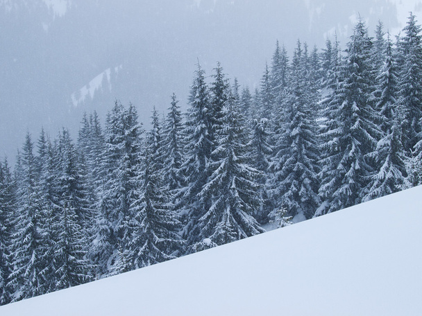 Orman ve dağ kış zamanında. doğal kış manzarası - Fotoğraf, Görsel