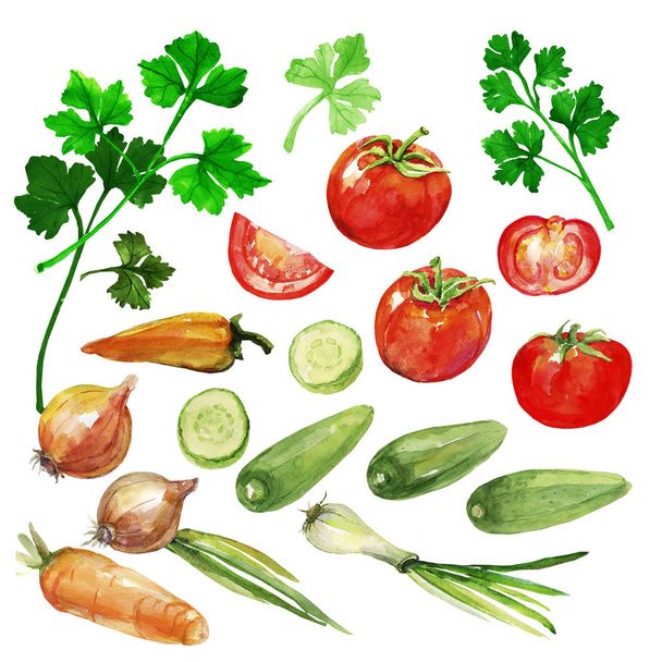 Gifts of nature: tomatoes, peppers, onions, cucumbers, parsley.Pattern watercolor  images. - Photo, Image