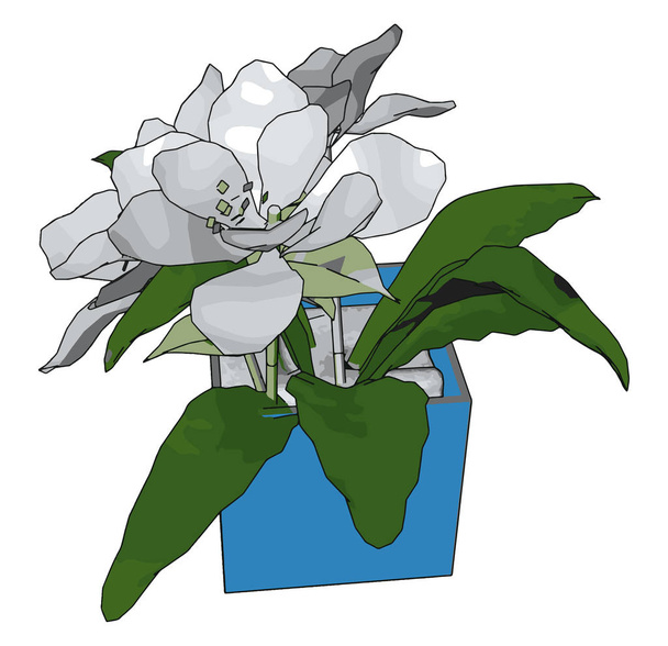 White flowers in a pot, illustration, vector on white background - Vector, Image