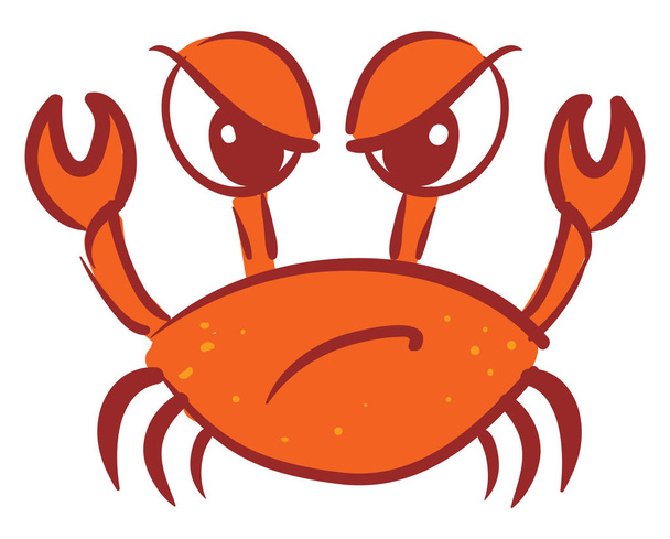 Angry crab, illustration, vector on white background. - Vector, Image