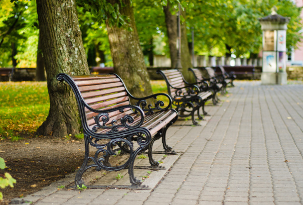 Benches in autumn park - 写真・画像