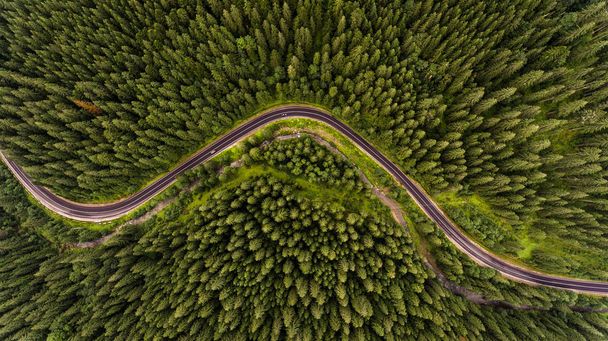 Straße in den ukrainischen Karpaten mitten im Wald. Drohnenfotografie.  - Foto, Bild