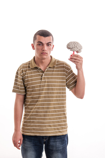 Man holding a human brain model - Фото, зображення