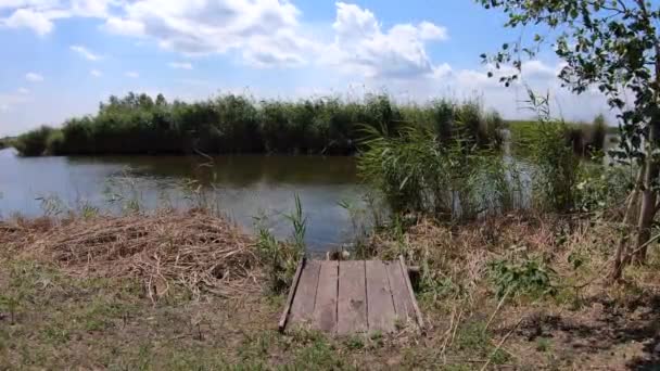 Harika doğa, güzel doğal arka plan. Nehir kıyısı ile pitoresk yaz manzara. Samara nehri, Ukrayna - Video, Çekim