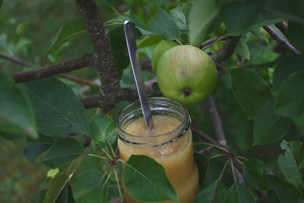 яблочный соус на яблоне
 - Фото, изображение