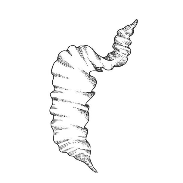 Podmořské řasy nakreslený vektor korálových řas - Vektor, obrázek