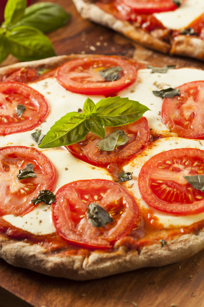 Organic Homemade Margarita Pizza - Fotó, kép