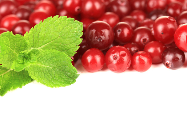 Ripe red cranberries, isolated on whit - Foto, Imagen