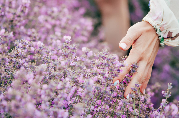 dívka cítí levandulové květiny  - Fotografie, Obrázek