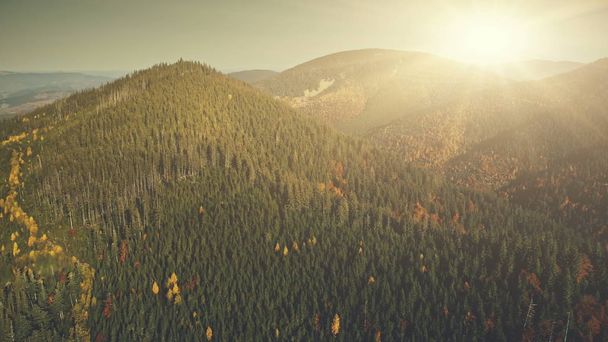Colorful mountain forest peak sun beam aerial view - Foto, Imagen