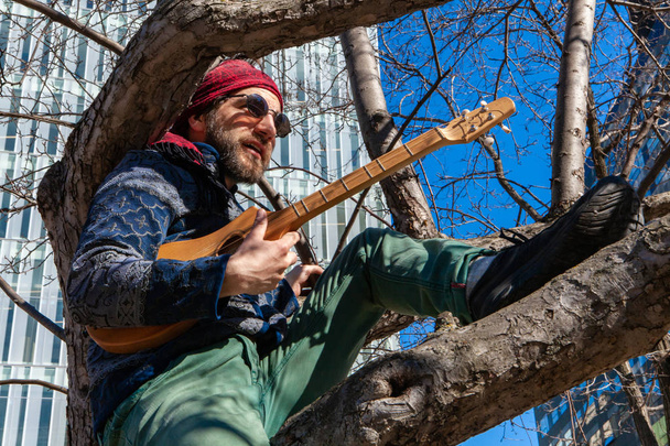 Creative man sits in tree by skyscraper - Photo, Image